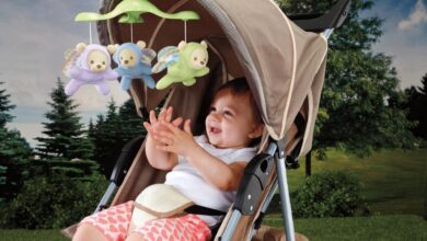 passeggini fisher price