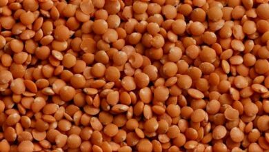 lenticchie rosse decorticate