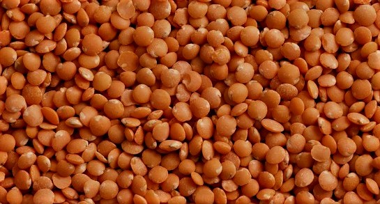 lenticchie rosse decorticate