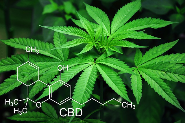 cannabidiolo