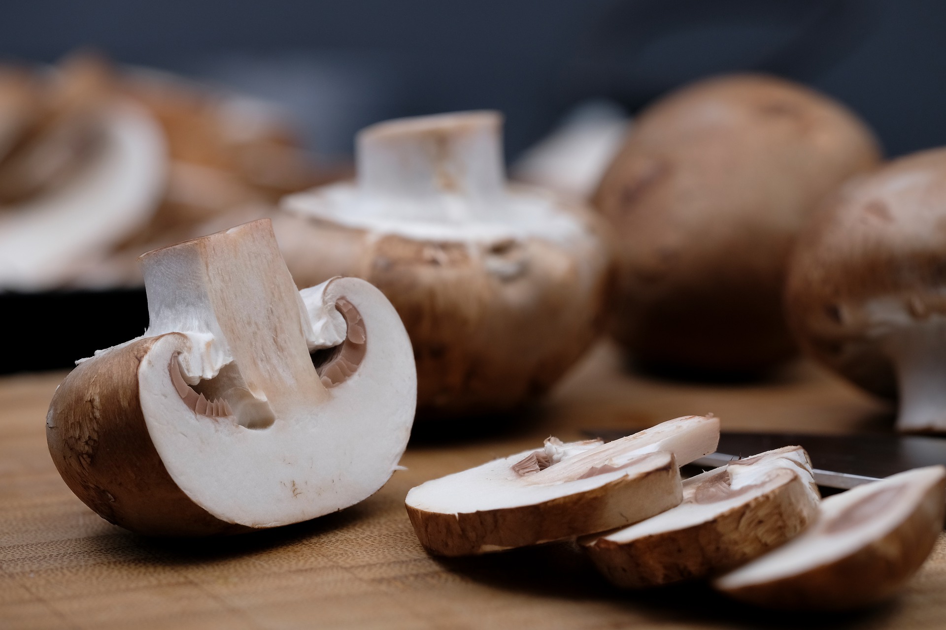 Funghi